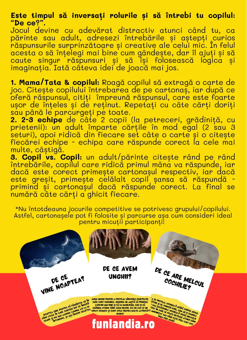 Saculetul cu jocuri - DE CE? 50 de cartonase distractive si educative, 4 + ani, Funlandia