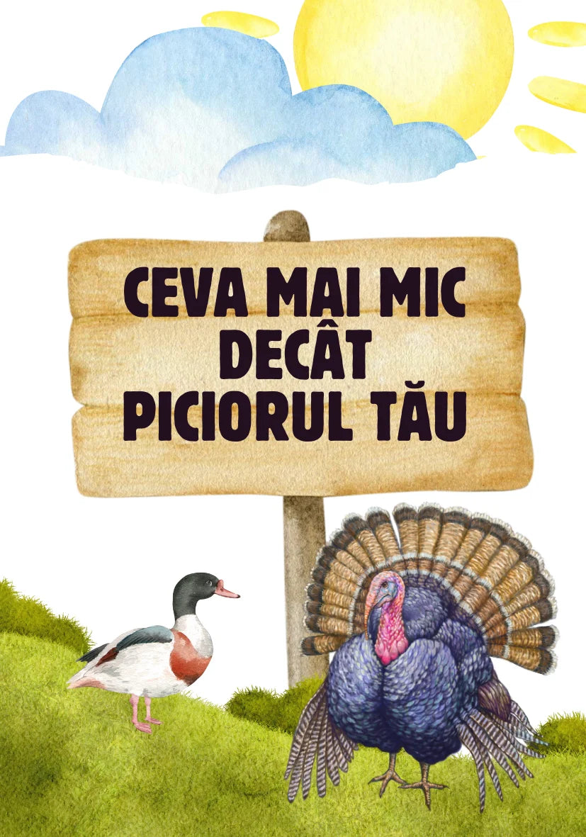 Saculetul cu jocuri - Gaseste sau nimereste, set de carti distractiv, 4 + ani, Funlandia