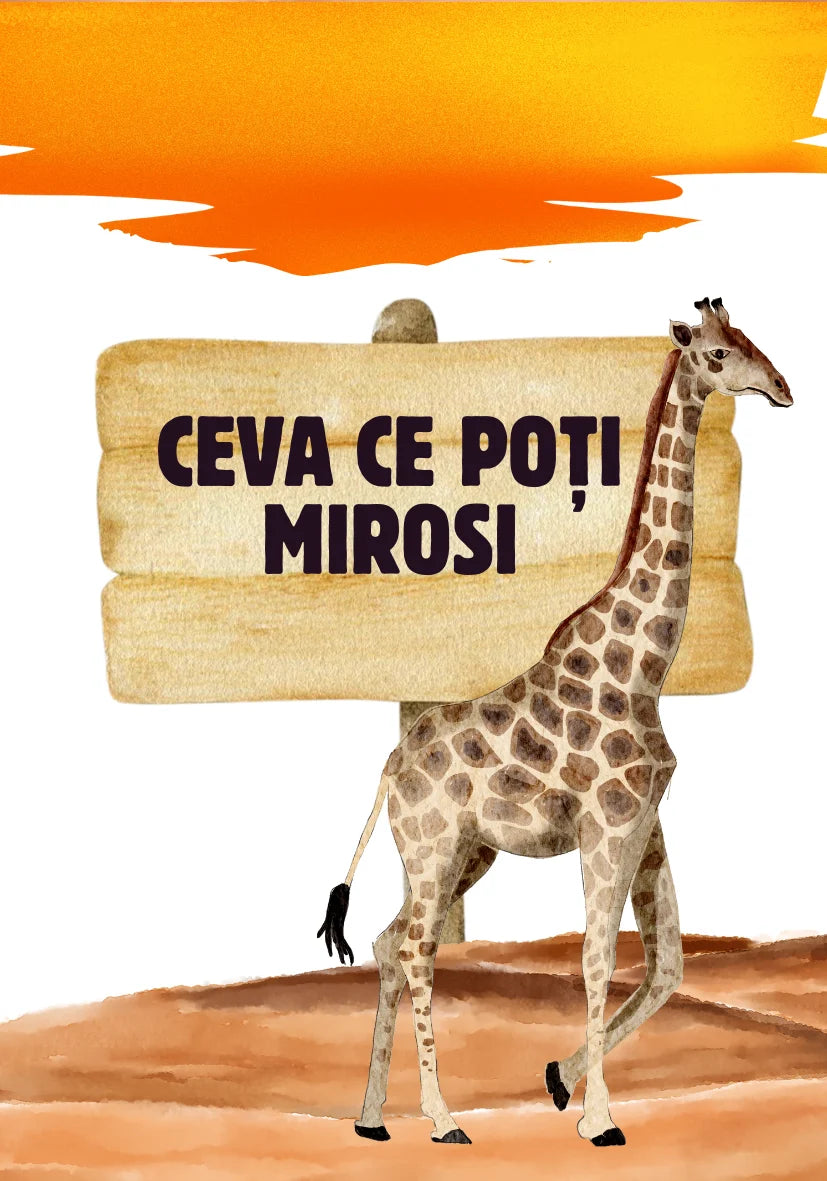 Saculetul cu jocuri - Gaseste sau nimereste, set de carti distractiv, 4 + ani, Funlandia