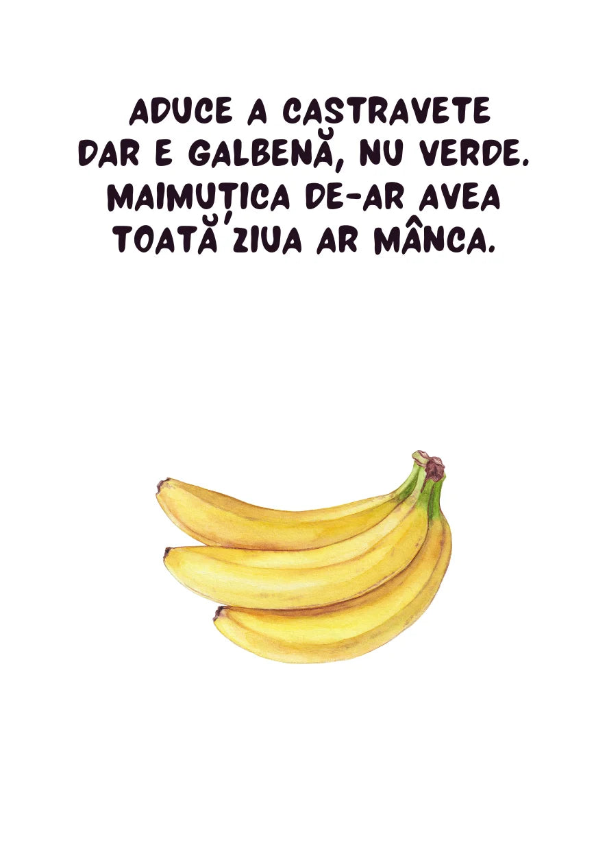 Saculetul cu jocuri - Ghicitori, 45 de cartonase distractive si educative, 3 + ani, Funlandia