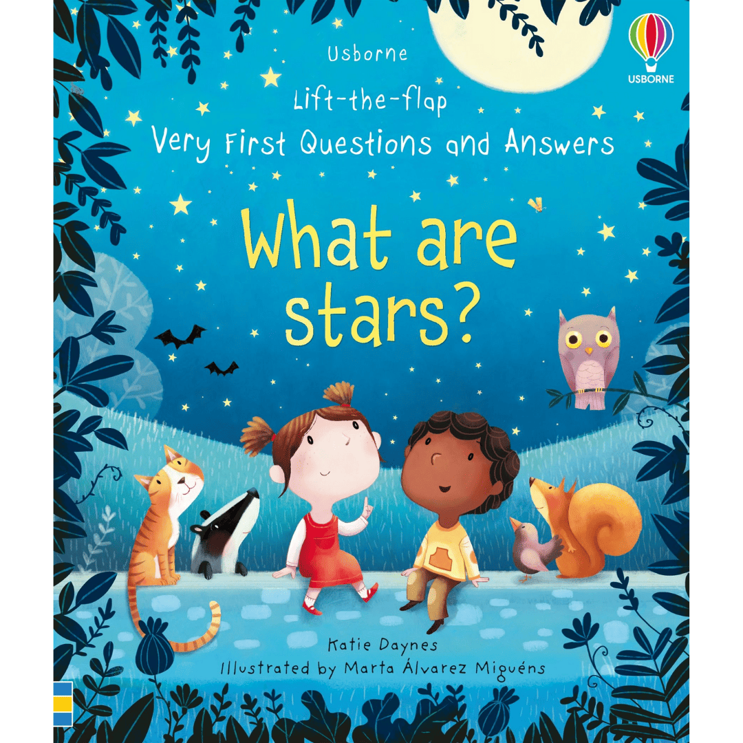 Lift-the-flap Very First Questions and Answers: What are stars?