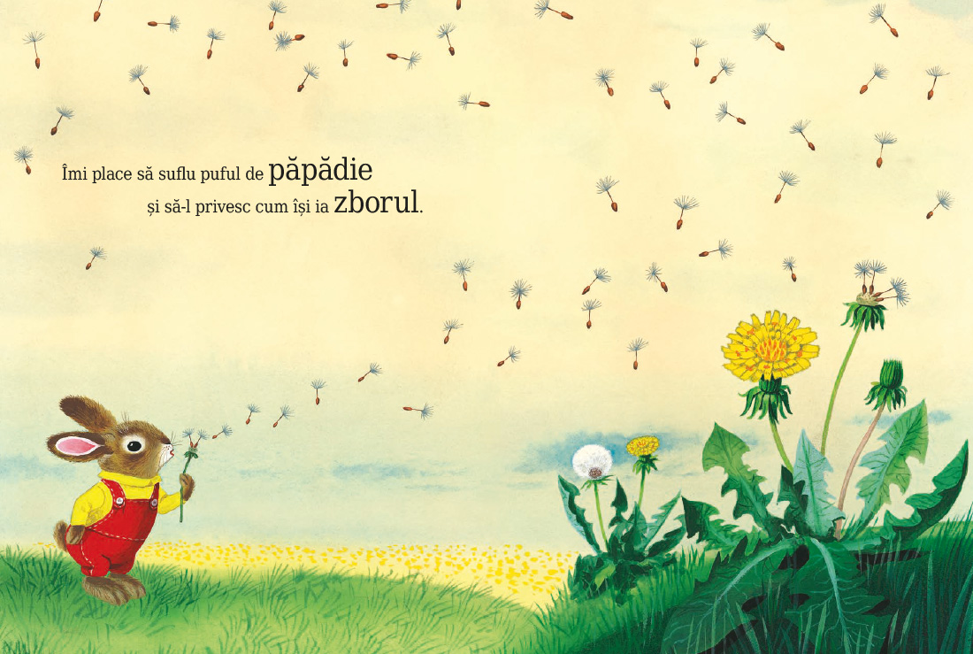 Sunt un iepuraș