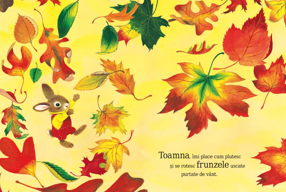 Sunt un iepuraș