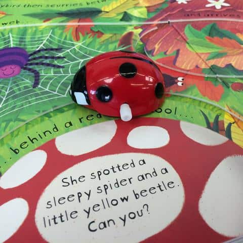 Carte cu jucarie - Wind- up Ladybird