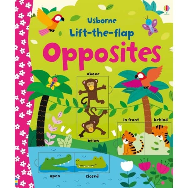 Carte pentru copii - Lift-the-flap Opposites 1