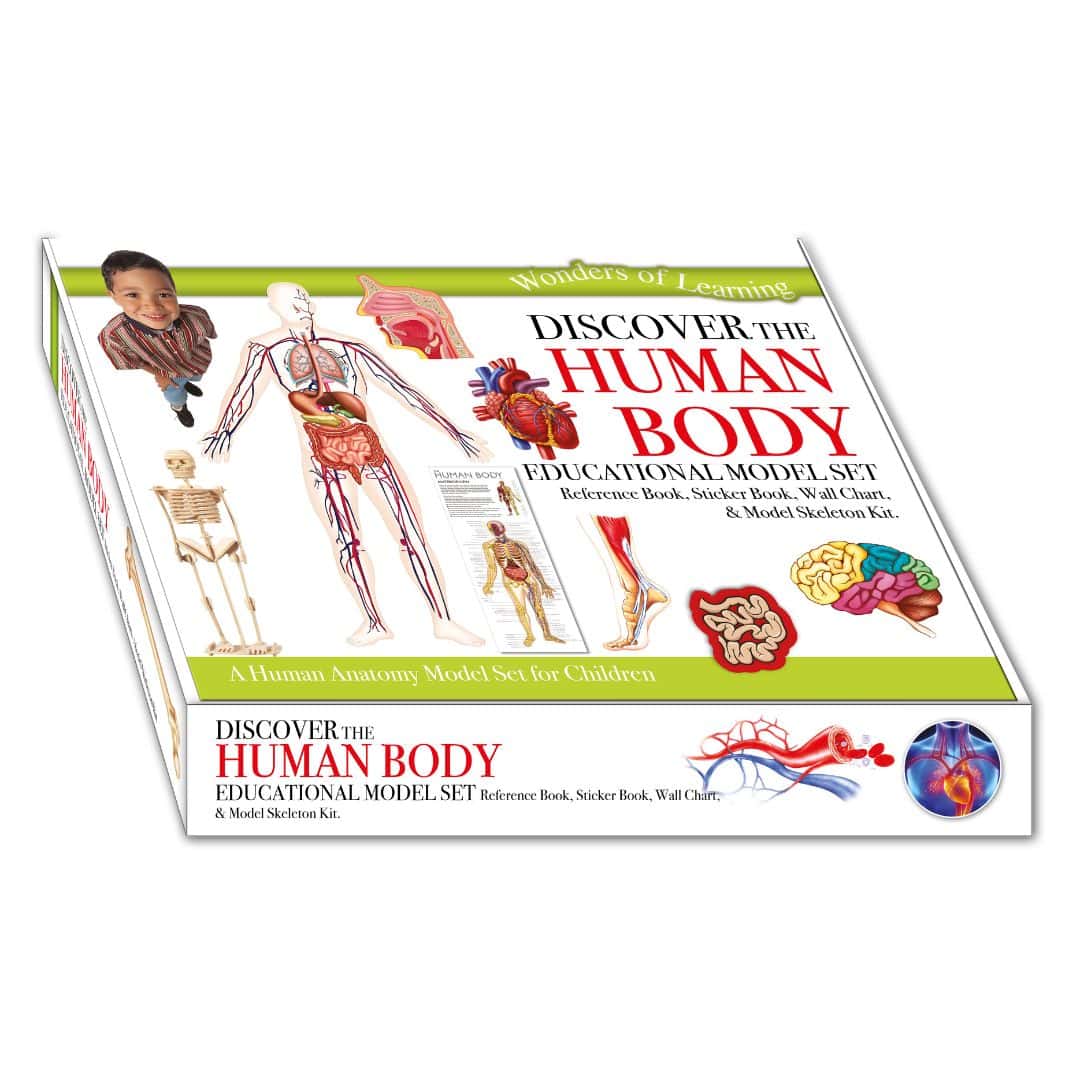 Set educational - wonders of learning - human body