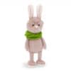 Mr.Carrot the Bunny 20
