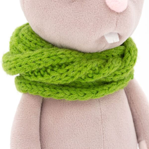 Mr.Carrot the Bunny 20 4