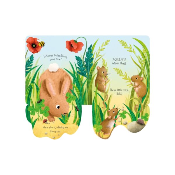 Little Lift and Look Baby Bunny 3