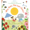 Lift-the-flap First Questions and Answers: Why does the sun shine?