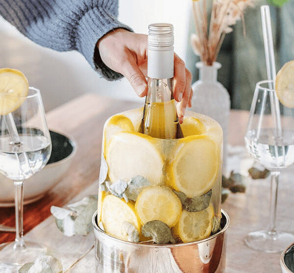 Racitor de sticle creativ - Ice Cooler