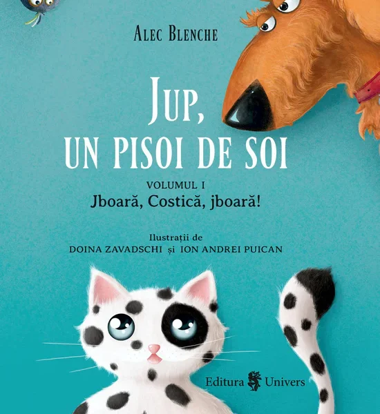 Jup, un pisoi de soi