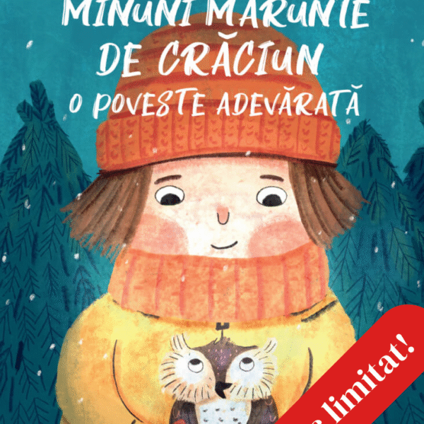 Minuni marunte de Craciun