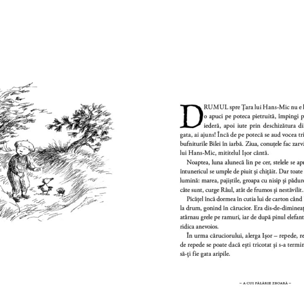 Alternative view of A cui pălărie zboară