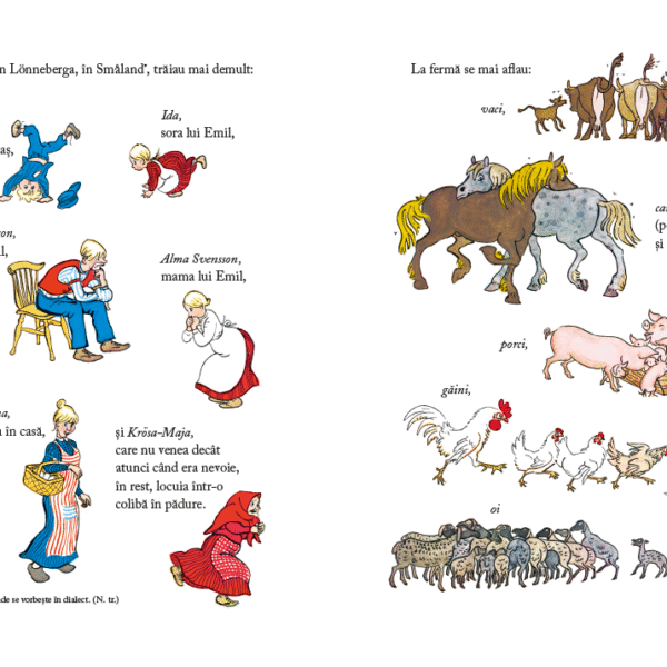 Alternative view of Băiatul acela Emil