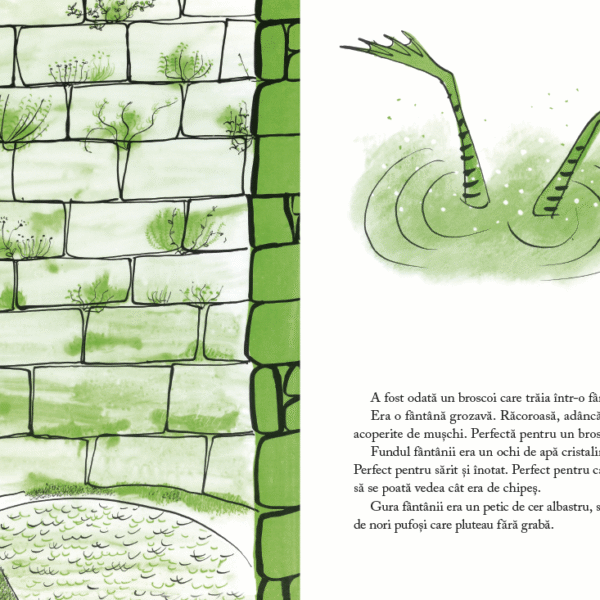 Alternative view of Broscoiul din fântână