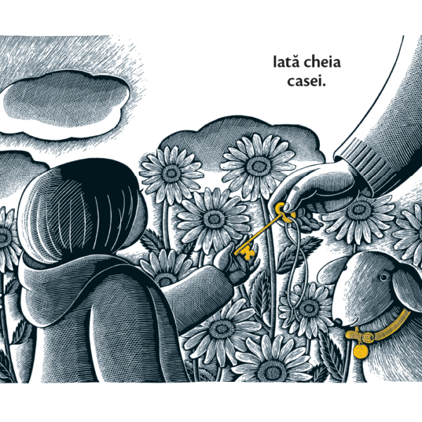 Alternative view of Casa în timpul nopții