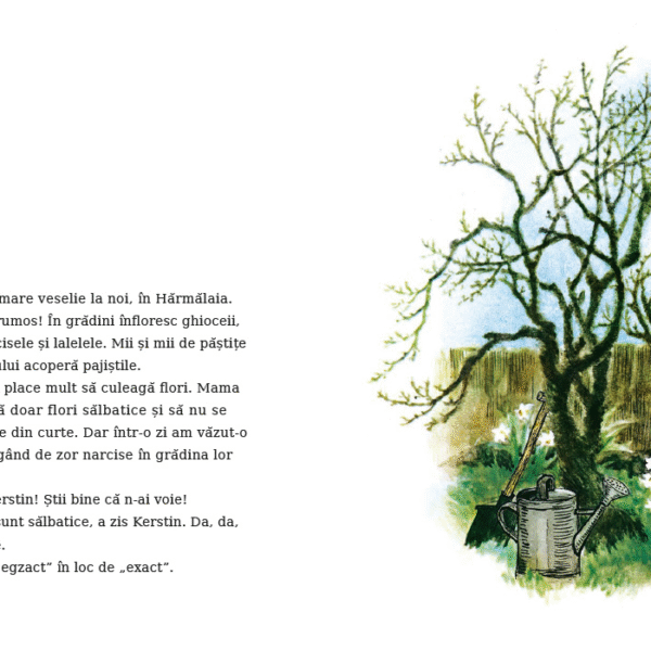 Alternative view of Primăvara în satul Hărmălaia