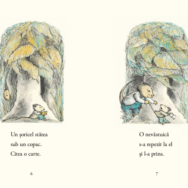 Alternative view of Supa de șoricel